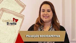 Explica Direito Filiação Socioafetiva  2019 [upl. by Yadrahc527]