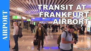 TRANSIT WALK AT FRANKFURT Airport FRA Terminal 1  Connection Flight Transfer Arriving amp Departing [upl. by Adni512]